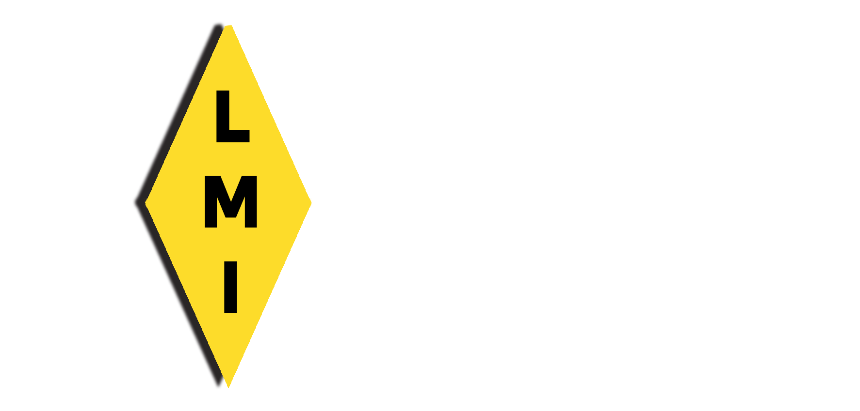 LMI – LIQUID METERING INSTRUMENTS